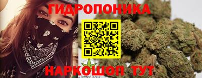 молекула духа Среднеуральск